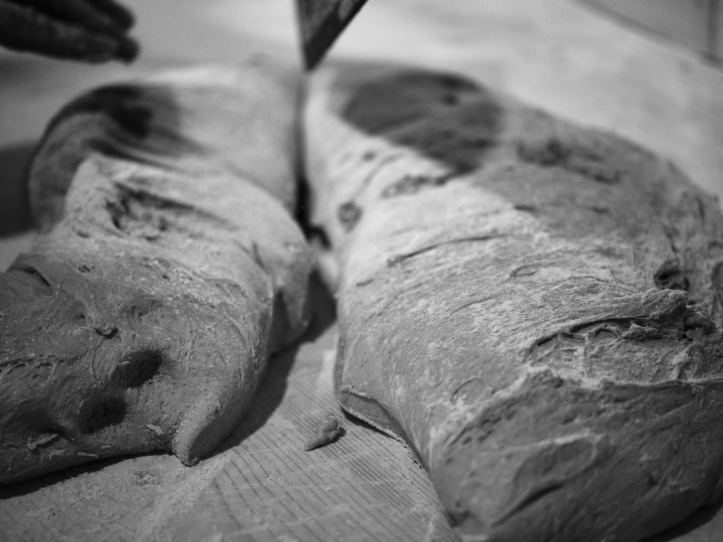 LE FOURNIL DE BELCIER · Photos 3